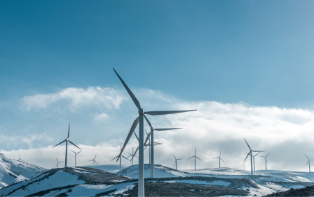 Enhanced graduate employability