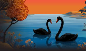 Black Swan Summit India