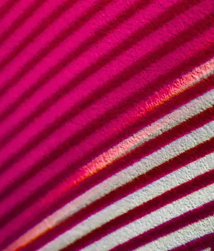 Global vLEI Hackathon 2025