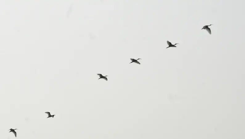 GFTN Intelligence - Global Reach