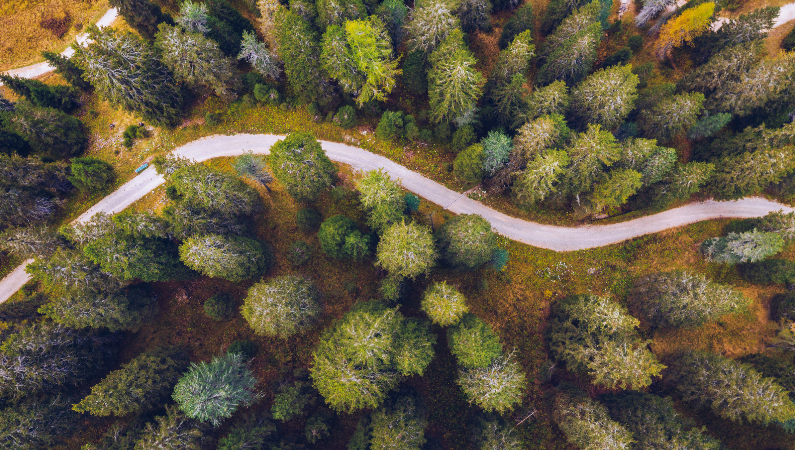 Manifesto - we are a community rooted in trust